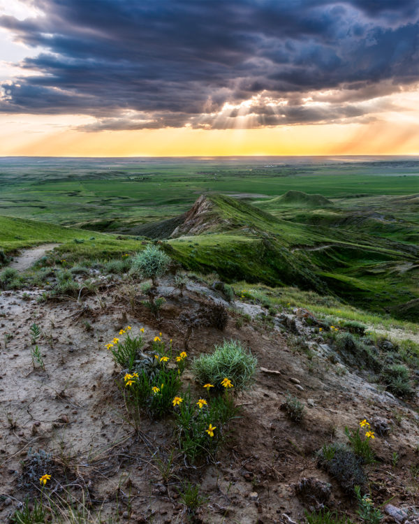 Light hits the valley floor. The eye is led by different lines in landscape of Grasslands National Park