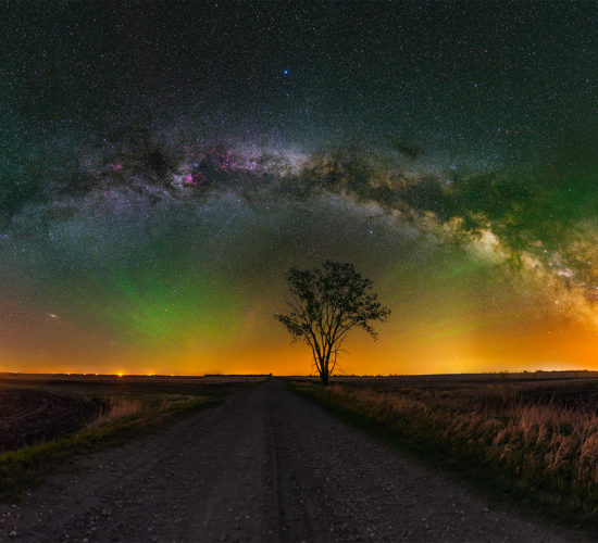 A landscape astrophotograph panorama of the night sky in Saskatchewan over a lone tree as part of a night photography workshop
