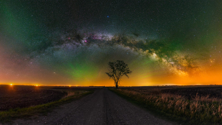 A landscape astrophotograph panorama of the night sky in Saskatchewan over a lone tree as part of a night photography workshop