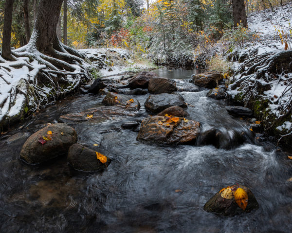 A babbling stream at Pine Cree Regional Park, Saskatchewan.