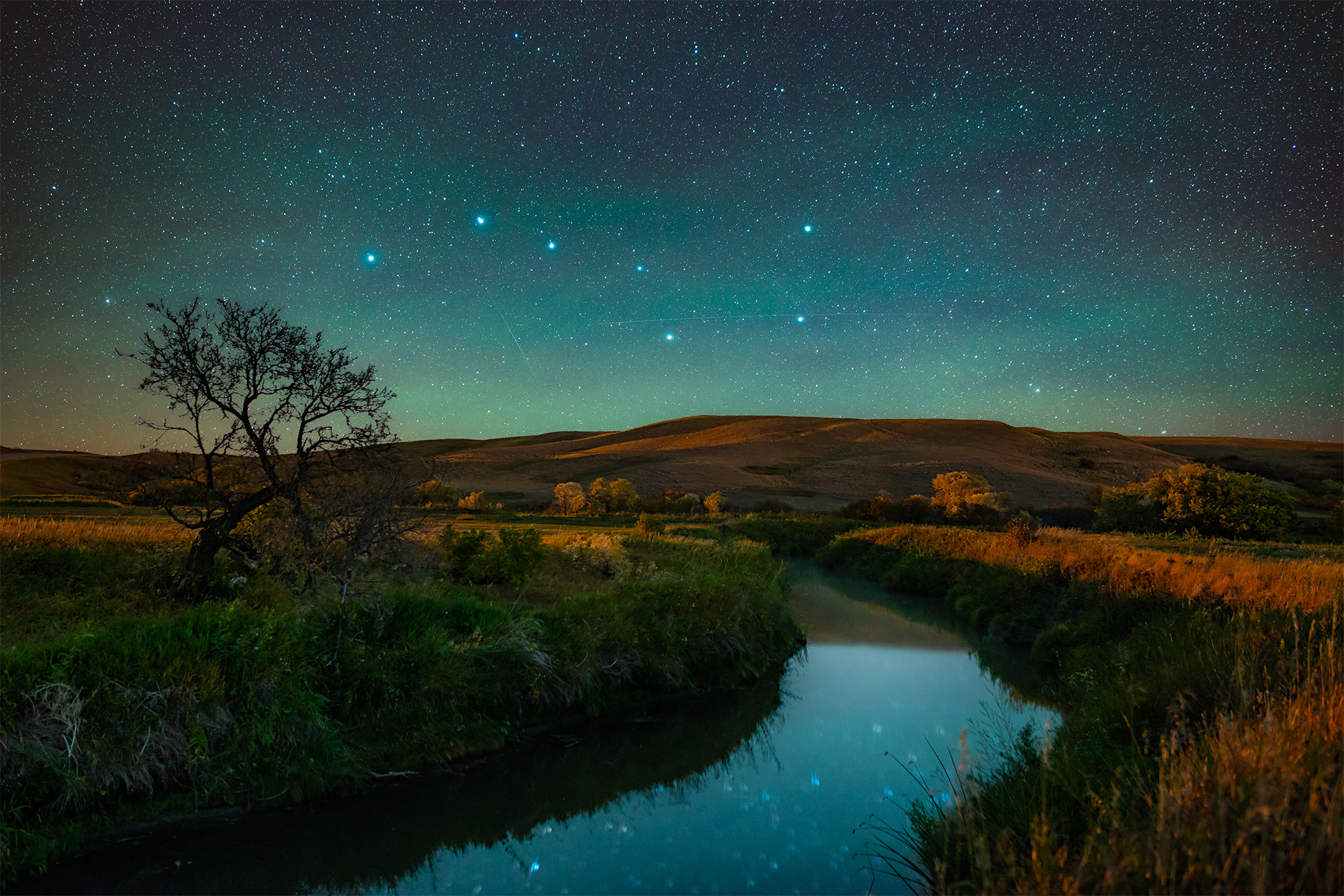 A night photograph of the constellation Ursa Major or the Big Dipper shines brightly over a Saskatchewan river with a tree in fall