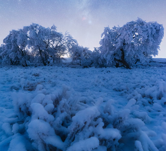 Night Photography in Saskatchewan