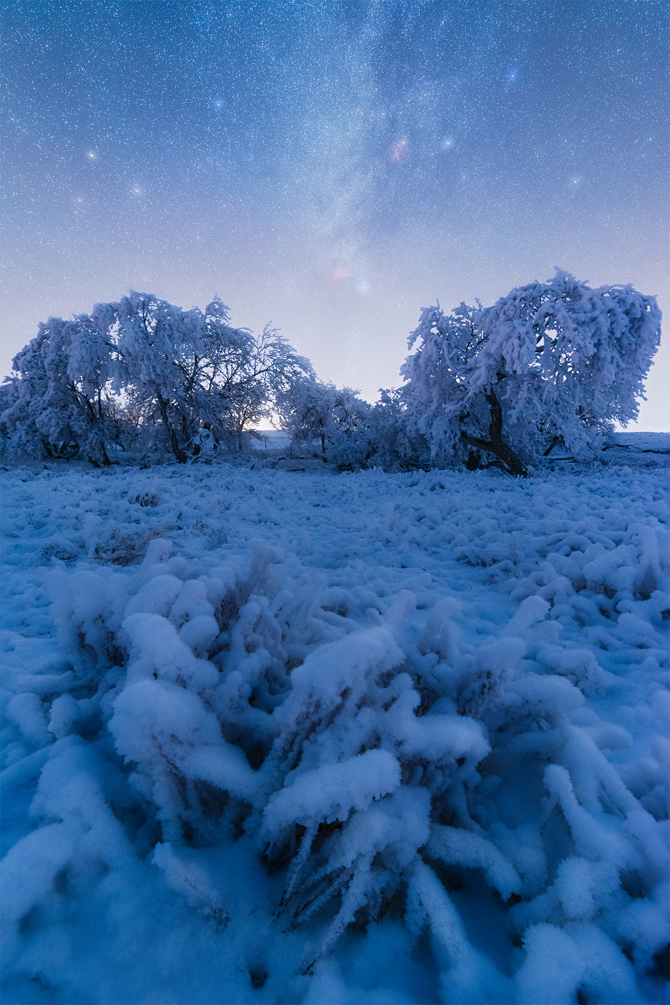 Night Photography in Saskatchewan