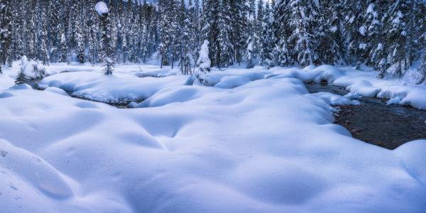 Landscape Photography near Emerald Lake. A frozen creek winds around snow pillows