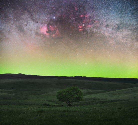 Astrophotography in Saskatchewan. The Cygnus region towers over a lone tree