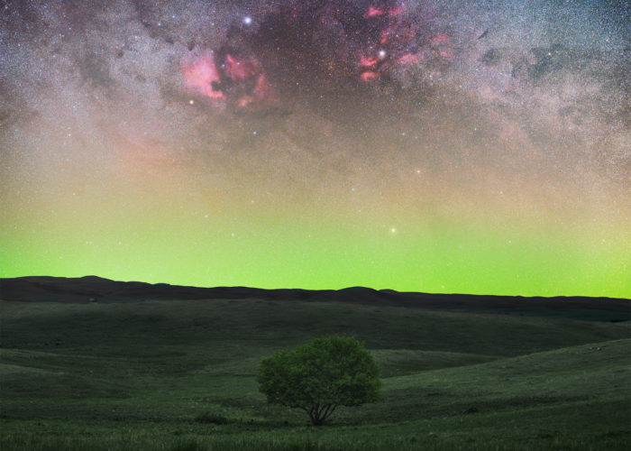 Astrophotography in Saskatchewan. The Cygnus region towers over a lone tree