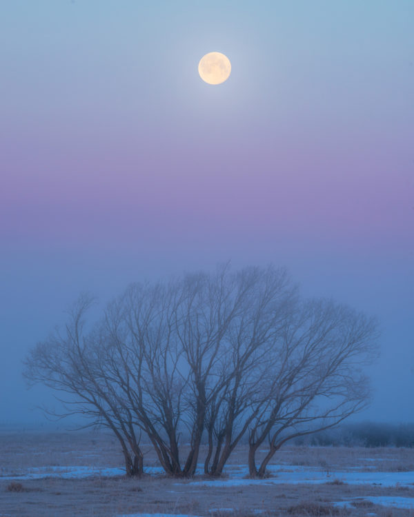 Night Photography over the Saskatchewan prairie. A full moon sets in Venus' Belt