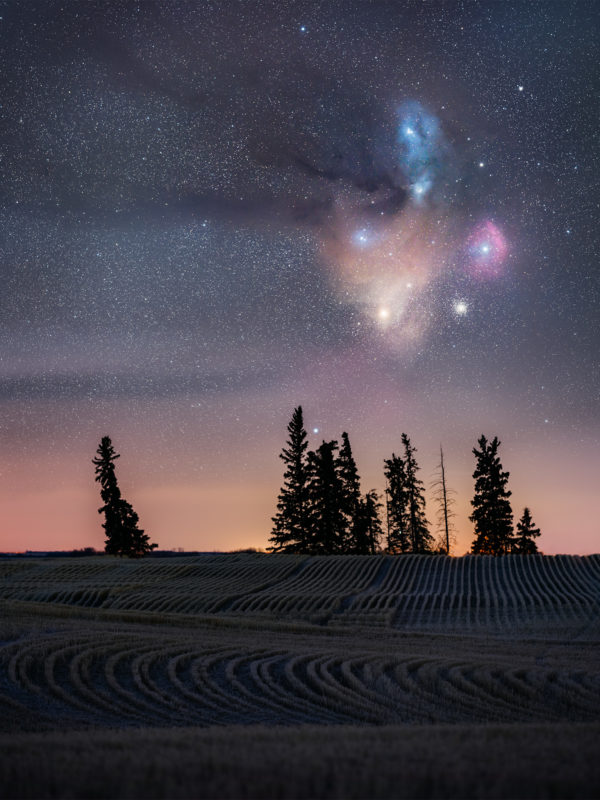 Landscape and Astrophotography in Saskatchewan. The Rho Ophiuchi Complex rises above a group of trees
