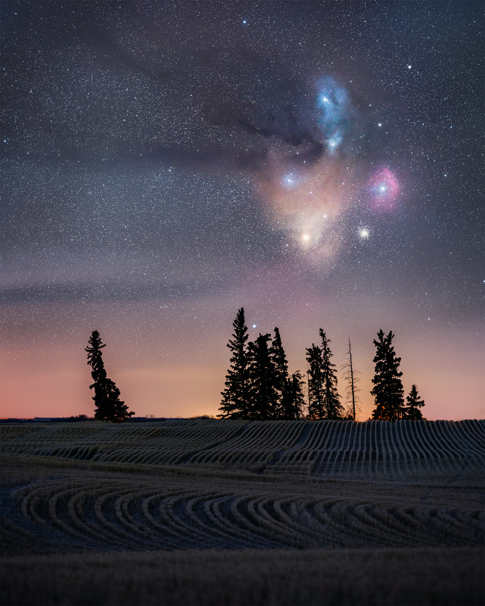 Landscape and Astrophotography in Saskatchewan. The Rho Ophiuchi Complex rises above a group of trees