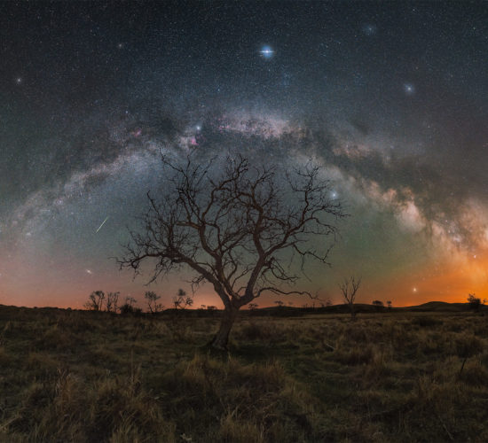 The milky way core arches in a full panorama over a lone tree in Saskatchewan