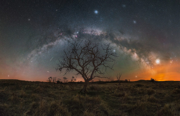 The milky way core arches in a full panorama over a lone tree in Saskatchewan