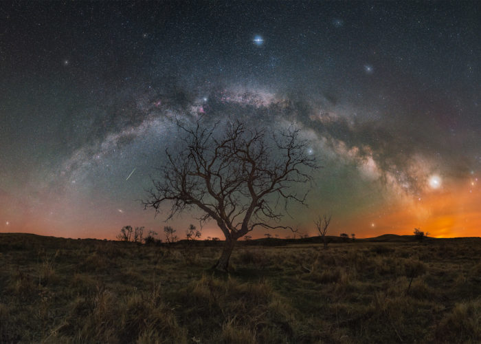 The milky way core arches in a full panorama over a lone tree in Saskatchewan