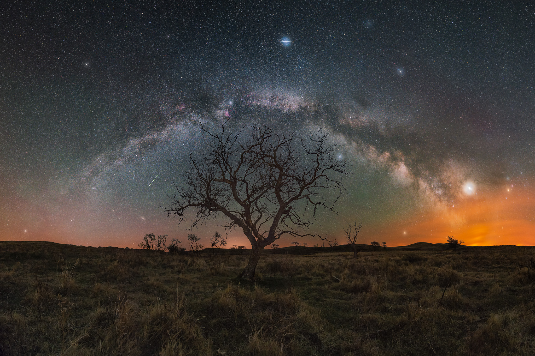 The milky way core arches in a full panorama over a lone tree in Saskatchewan