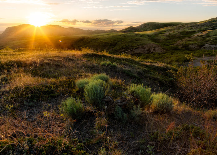 Landscape Photography of Eagle Butte at sunset with a sunstar in Grasslands National Park