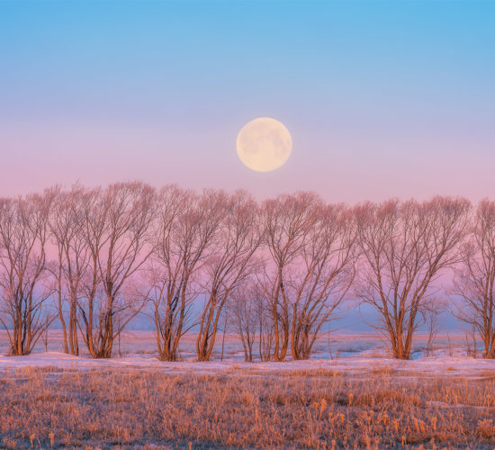 Night Photography over the Saskatchewan prairie. A full moon sets in Venus' Belt