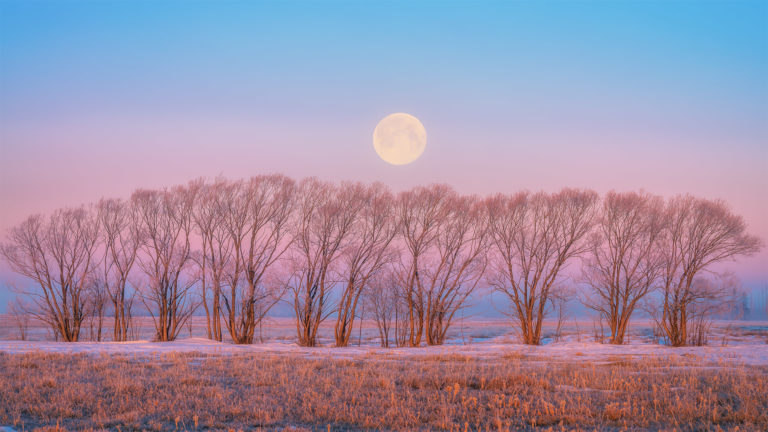 Night Photography over the Saskatchewan prairie. A full moon sets in Venus' Belt