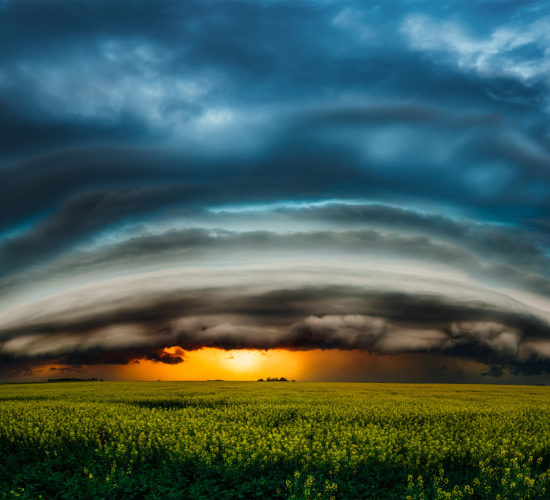 A landscape photograph of a supercell thunderstorm on the Saskatchewan prairie over a gold canola field