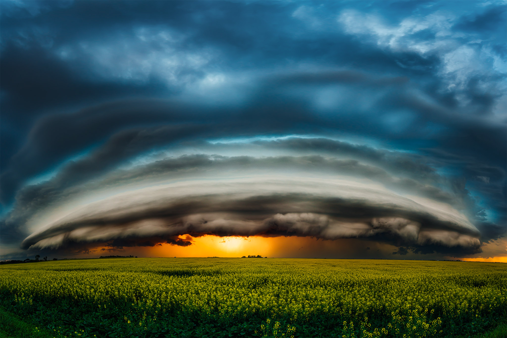 A landscape photograph of a supercell thunderstorm on the Saskatchewan prairie over a gold canola field