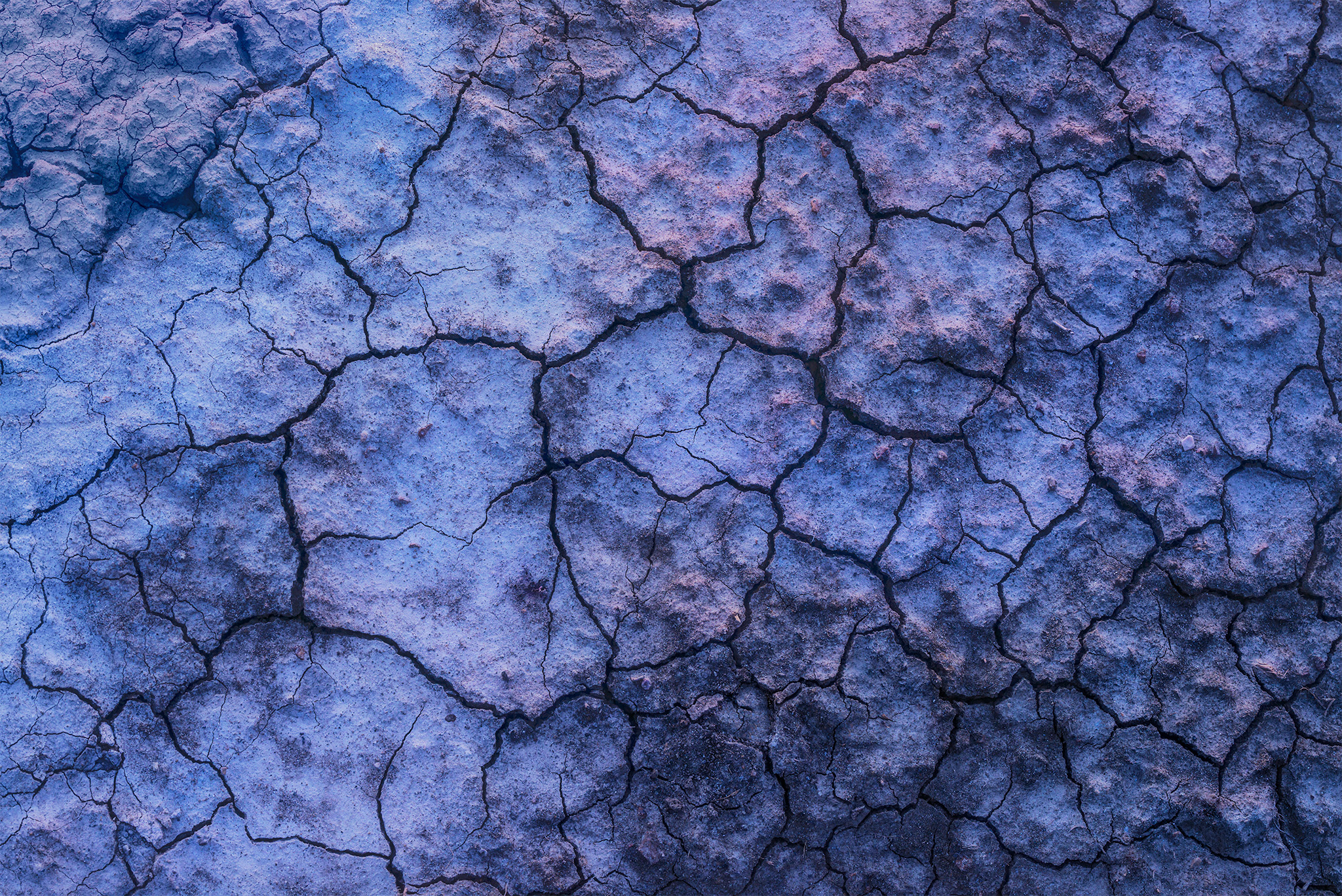 Abstract photography of mud cracks in Saskatchewan reflecting twilight colours.