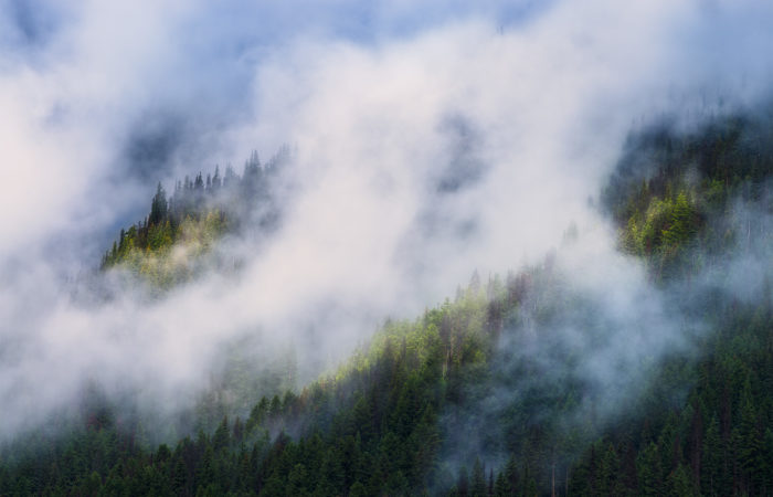 Intimate landscape photography of light hitting the side of a mountain in British Columbia