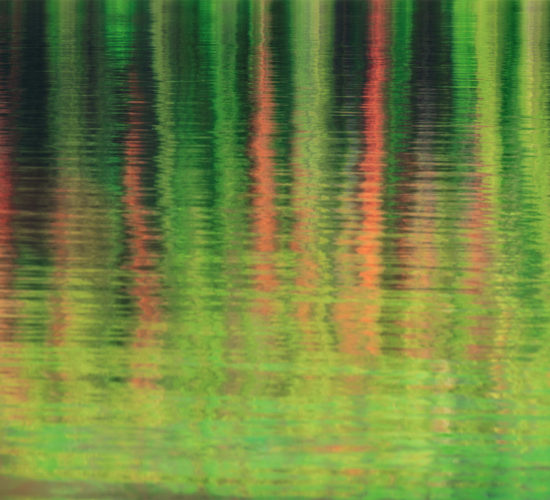 An intimate landscape photo of a reflection of pine trees in Jasper National Park