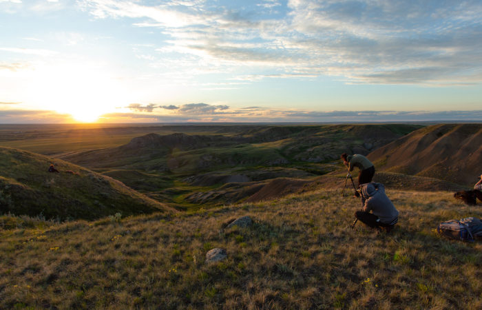 4 students participating in a landscape photography workshop. Taking pictures of a sunset.