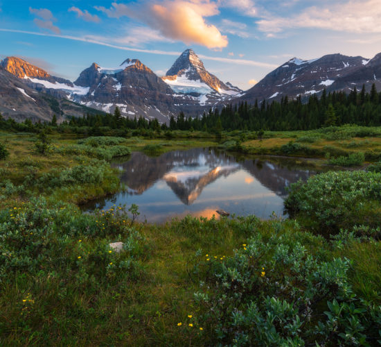 landscape photography of Mt. Assiniboine reflecting in a pond in Mount Assiniboine Provincial Park