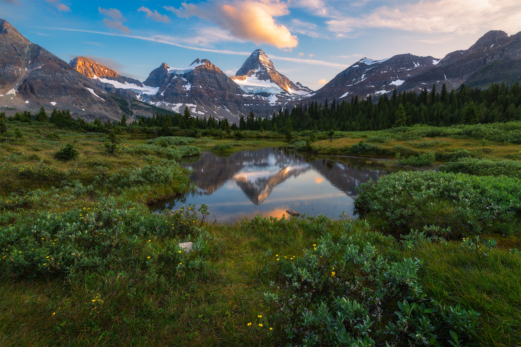 landscape photography of Mt. Assiniboine reflecting in a pond in Mount Assiniboine Provincial Park