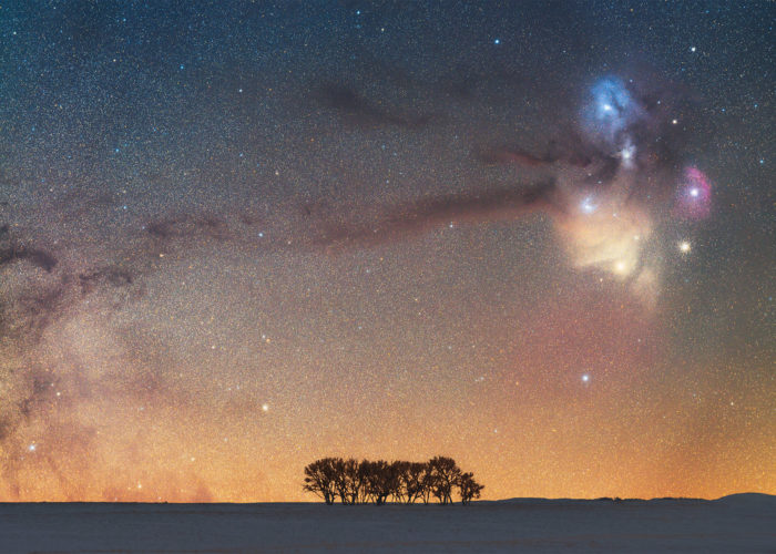 Night photography of the Rho Ophiuchi cloud complex rising over some Saskatchewan trees