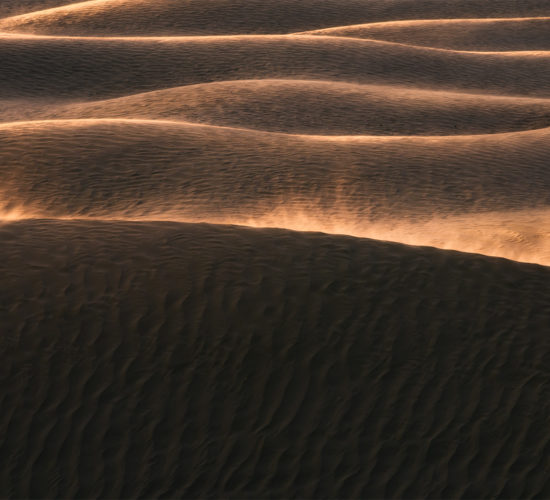 An intimate landscape photography of evening light hitting windy sand dunes at the Great Sandhills in Saskatchewan