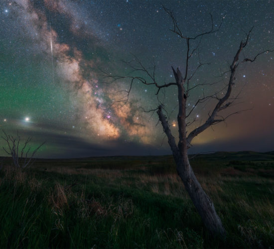The milky way over some trees in Grasslands National Park, Saskatchewan