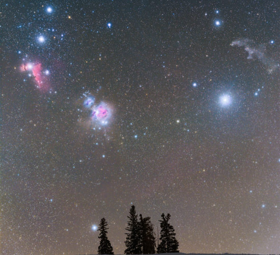 A night photograph of the constellation Orion over a few trees in Saskatchewan in the middle of winter.
