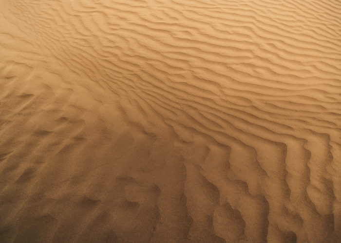 An abstract photograph of a sand dune in The Great Sandhills, Saskatchewan