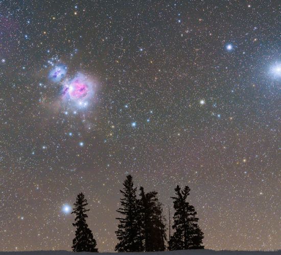 Cover image for distinct