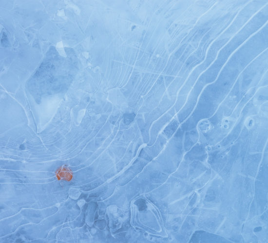 An intimate landscape photograph captured with the Tamron 15-30 f2.8 of a leaf frozen in ice