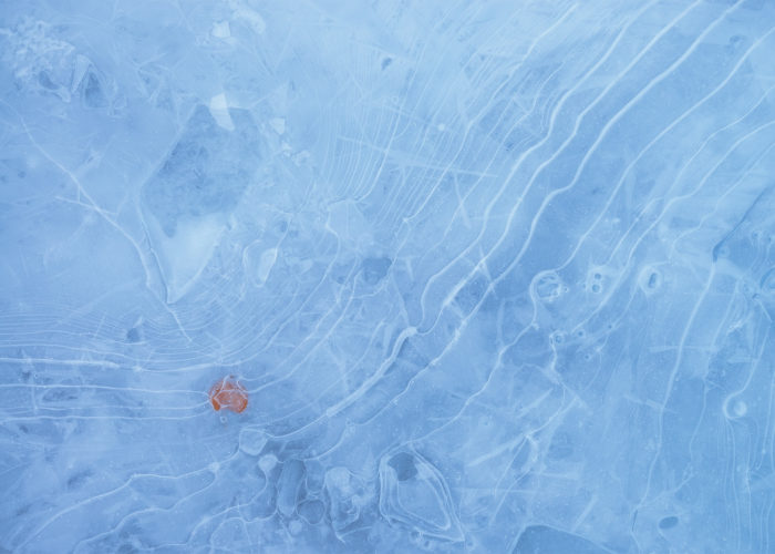 An intimate landscape photograph captured with the Tamron 15-30 f2.8 of a leaf frozen in ice