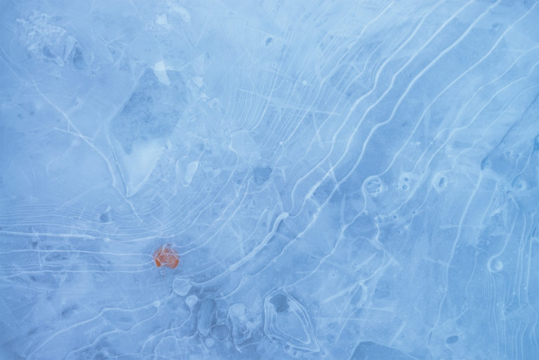 An intimate landscape photograph captured with the Tamron 15-30 f2.8 of a leaf frozen in ice