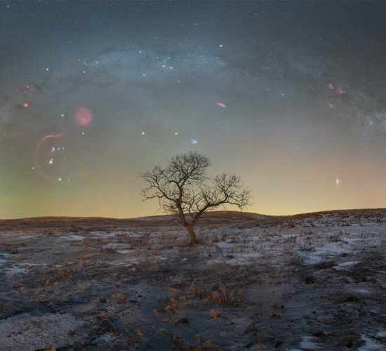 Night Photography depicting The winter milky way arch over a tree in saskatchewan
