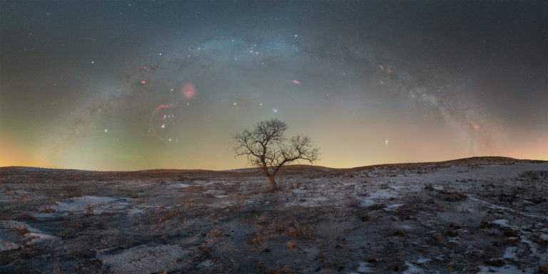 Night Photography depicting The winter milky way arch over a tree in saskatchewan