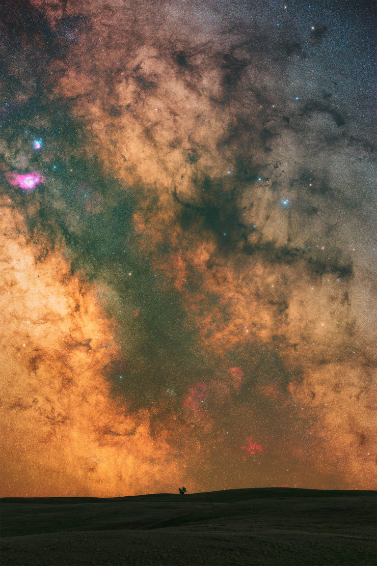 A high detail photo of the milky way over a tree in Grasslands National Park