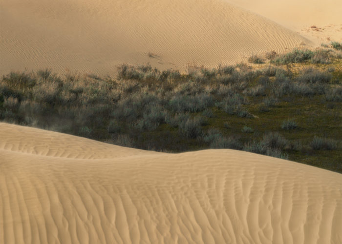 An abstract photograph of sand dunes in the Great Sandhills