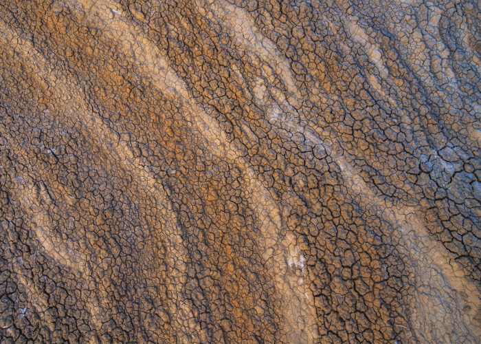 An abstract photograph of dried, cracked clay in Saskatchewan
