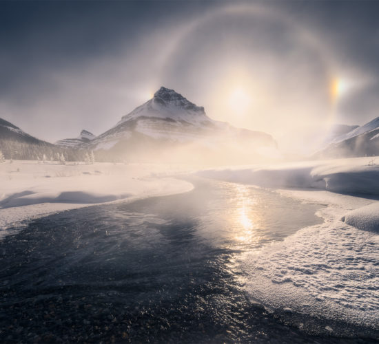 A landscape photograph of Tangle Ridge in the Canadian Rockies during winter