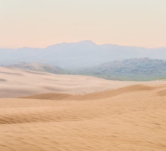 A landscape photograph of the sand dunes at The Great Sandhills in Saskatchewan