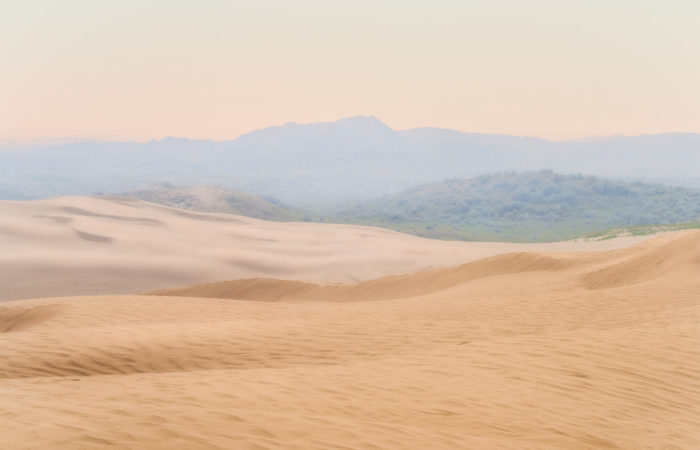 A landscape photograph of the sand dunes at The Great Sandhills in Saskatchewan