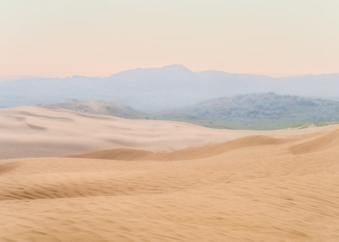 A landscape photograph of the sand dunes at The Great Sandhills in Saskatchewan