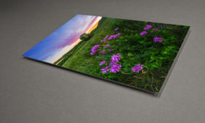 Fine art metal photographhy print of a landscape scene in Saskatchewan