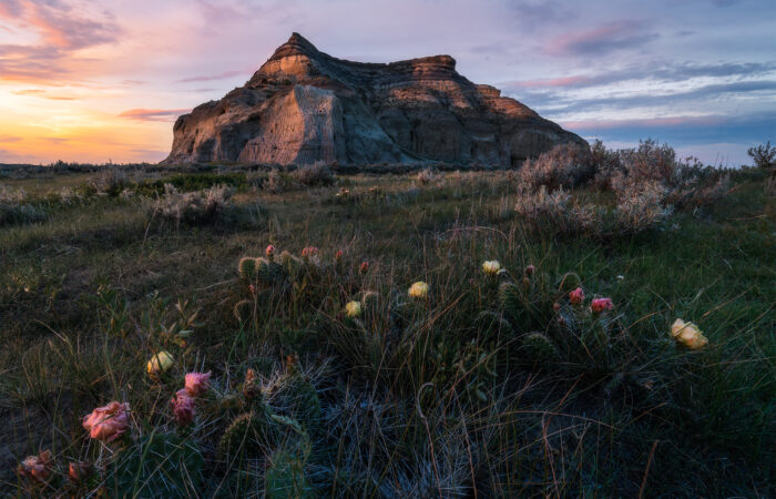 A landscape photograph of Castle Butte at sunset in Saskatchewan