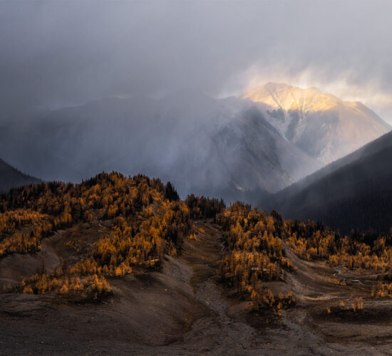 A landscape photography from the top of Numa Pass in Kootenay National Park long the Rockwall Trail