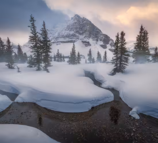 Blowing snow at Bow Lake in the Canadian Rockies featuring Crowfoot Mountain
